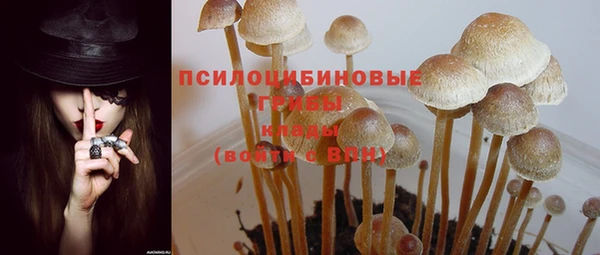 дживик Михайлов
