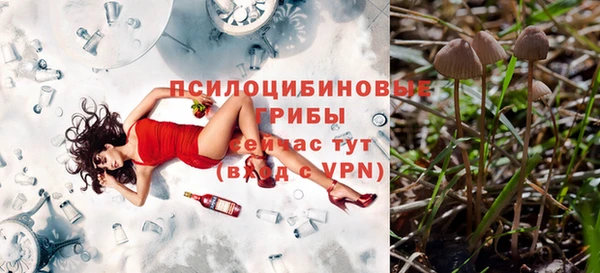 каннабис Михайловка